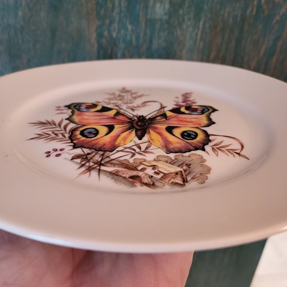 Kuba Bavaria Germany Butterfly Plate Porcelain ~ Pretty! ~ EUC ~ Nature Cottage - Picture 15 of 16